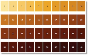 SRM beer colour chart