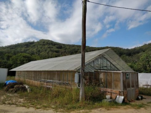 1804_SummerGlasshouse